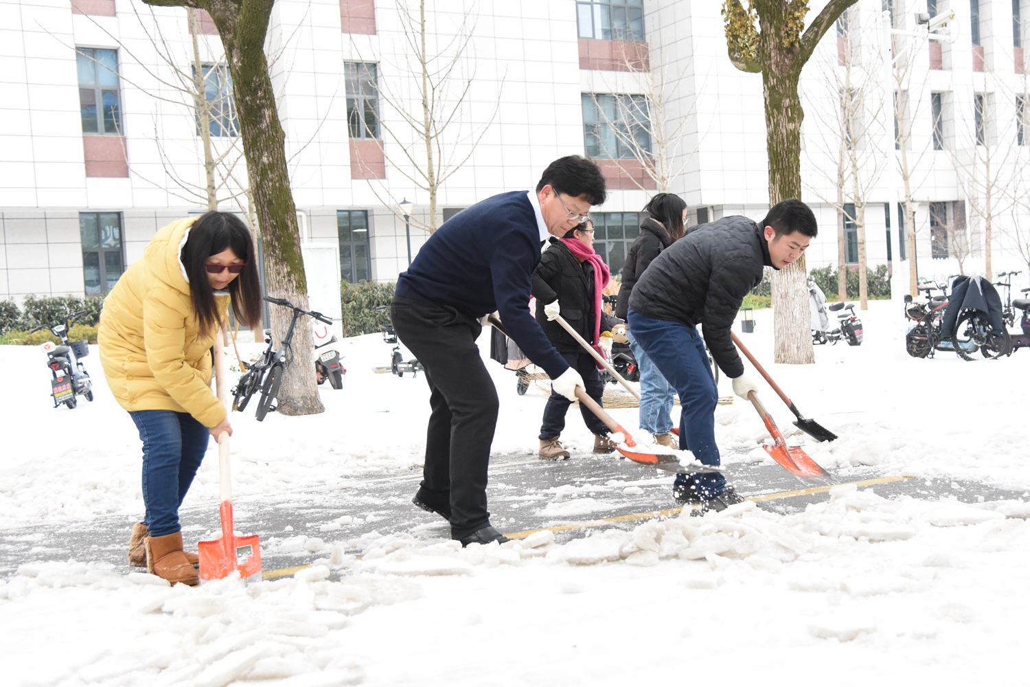 园艺林学学院师生正在除雪(蒋朝常 摄)