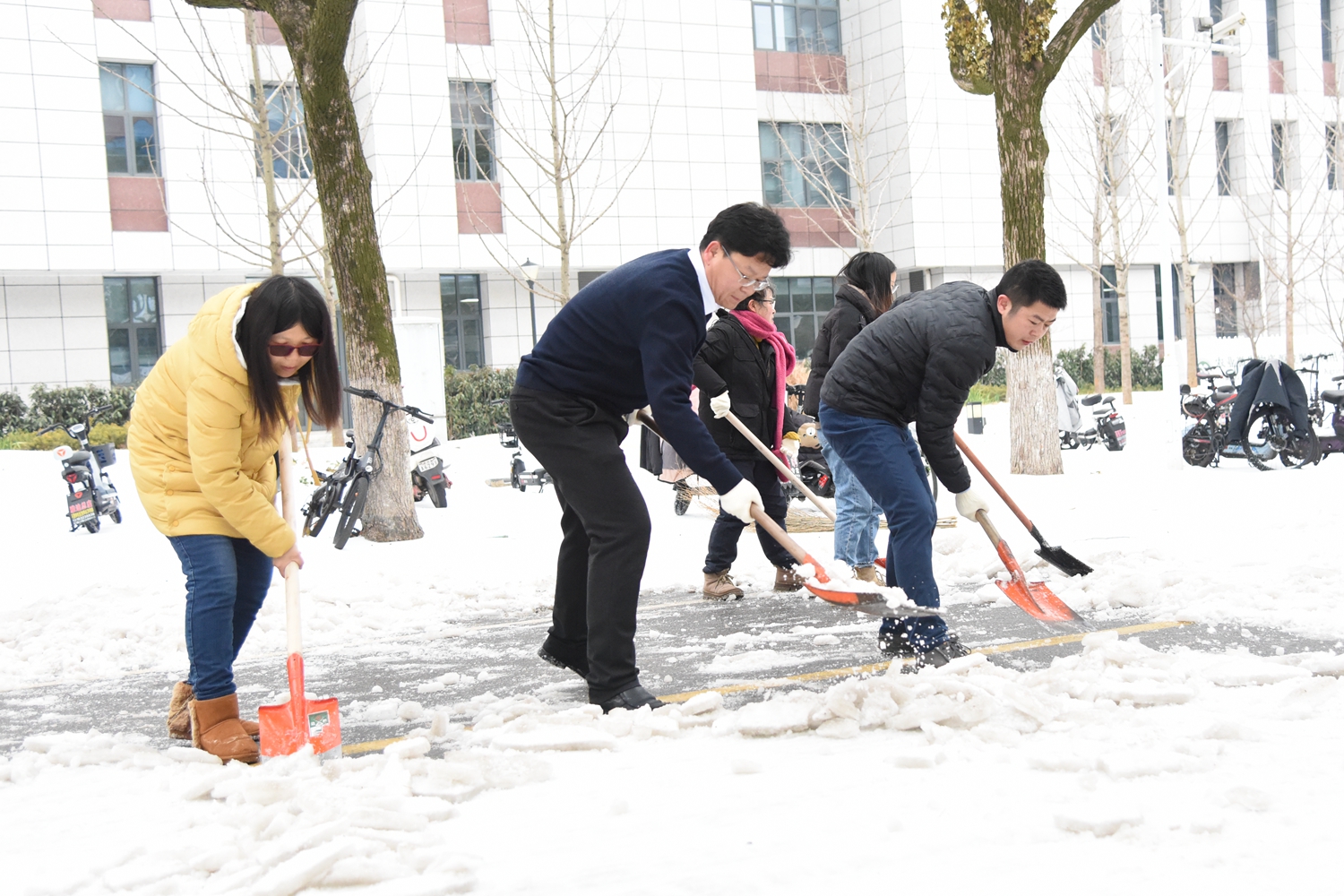 园艺林学学院师生正在除雪（蒋朝常 摄）