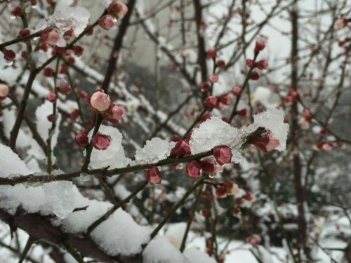 3D33A27E373A142E1188B5BF1ED89A3C