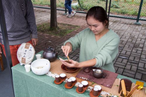 茶协会教同学们品茶——李晔