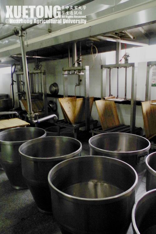 8.豆制品加工间
