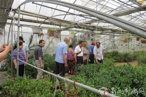 3.王文恩向大家讲解花卉知识