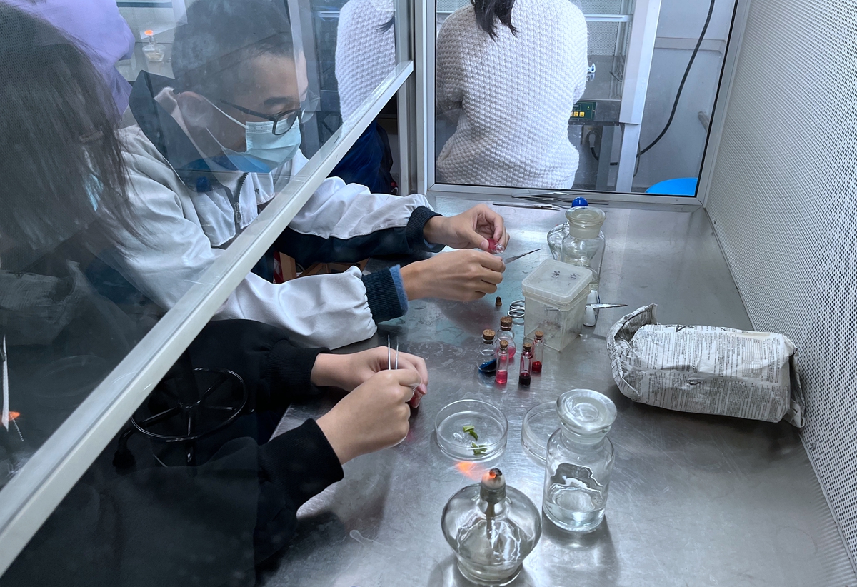 高中“英才计划”学生独立开展实验(梅斌 摄)