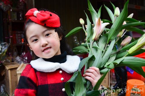 对于温暖的南方而言,过年购买富贵竹等花草,有着迎春富贵的好意头。