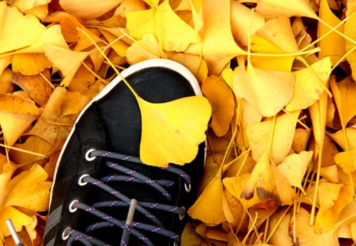 3.走在路上，接受叶的沐浴 秦丁益