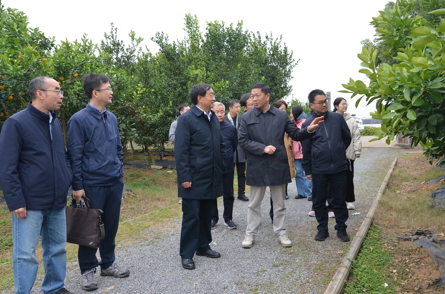 万建民一行实地考察柑橘育种基地