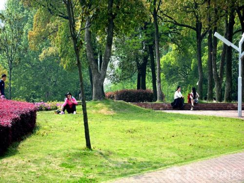 6.午后的时光总是慵懒。坐在柔软的浅草上咀嚼阳光的味道,读一本小说,发一会儿呆,听一听鸟语,轻轻松松,安安静静。