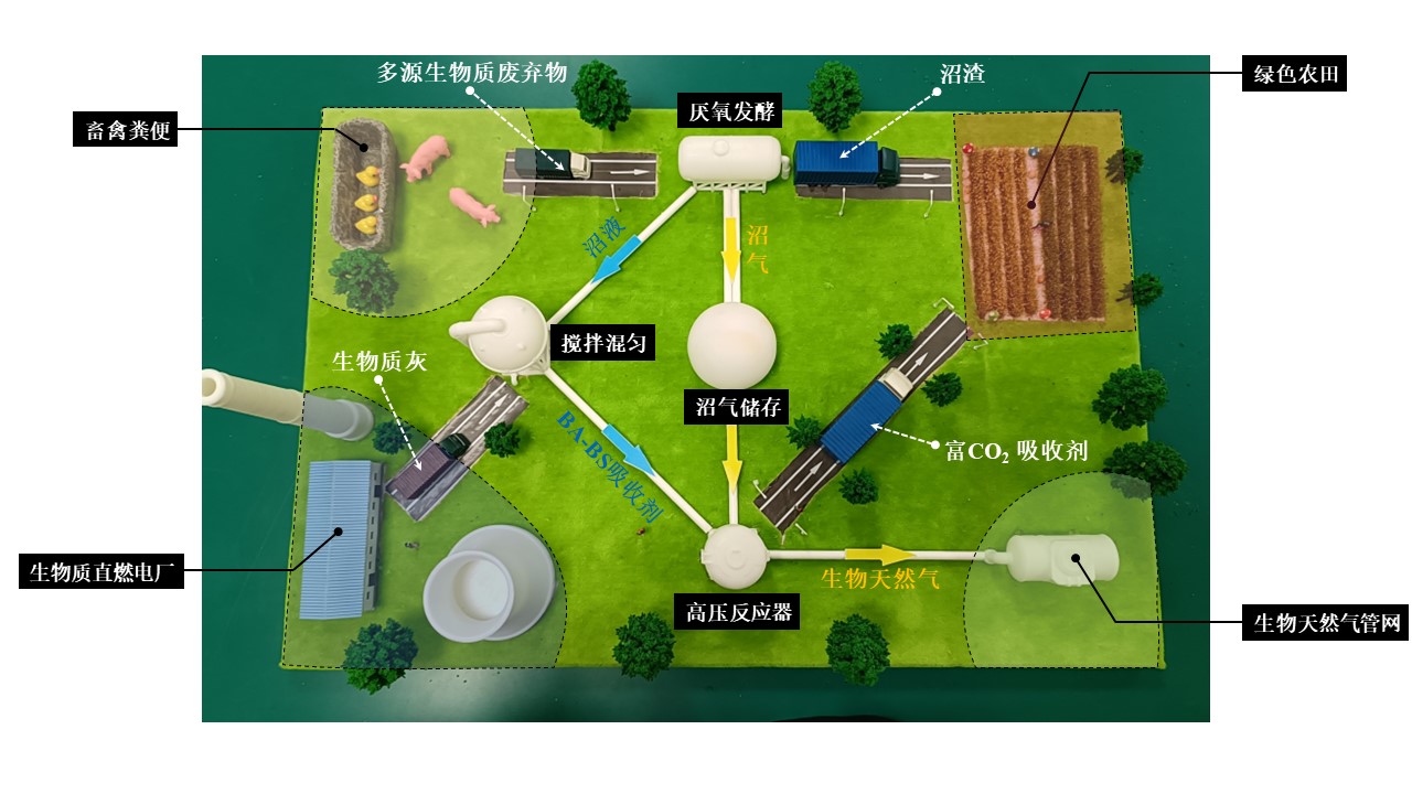 作品模型:负碳沼气高值化利用系统(通讯员 孙涛 供图)
