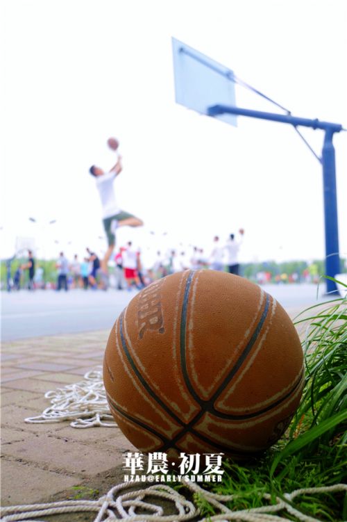 3.夏天,是男生在球场上的热血篮球,是大汗淋漓的痛快