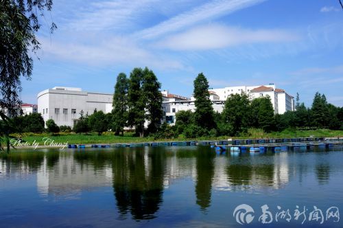 春天的和暖气息使树木转绿