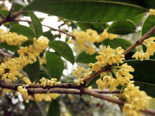 0C90E3F499C447A48B658E2F29C7F337(1)