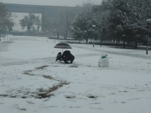 雪中嬉戏的父女