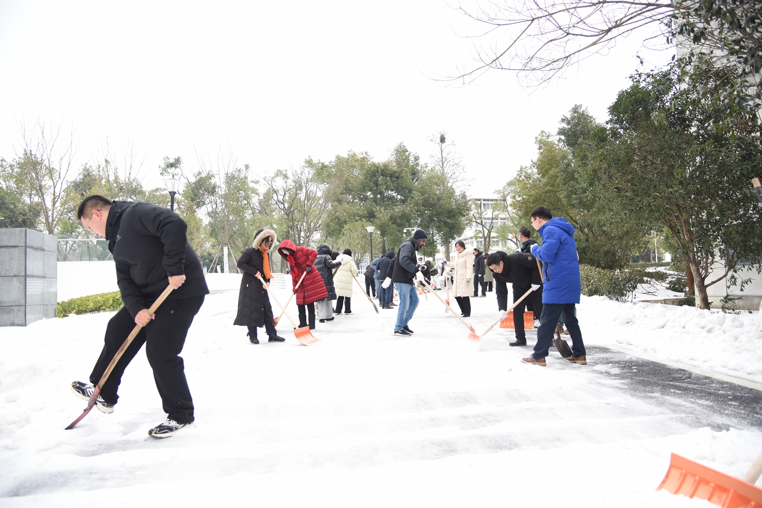 动科动医学院学生正在除雪（蒋朝常 摄）