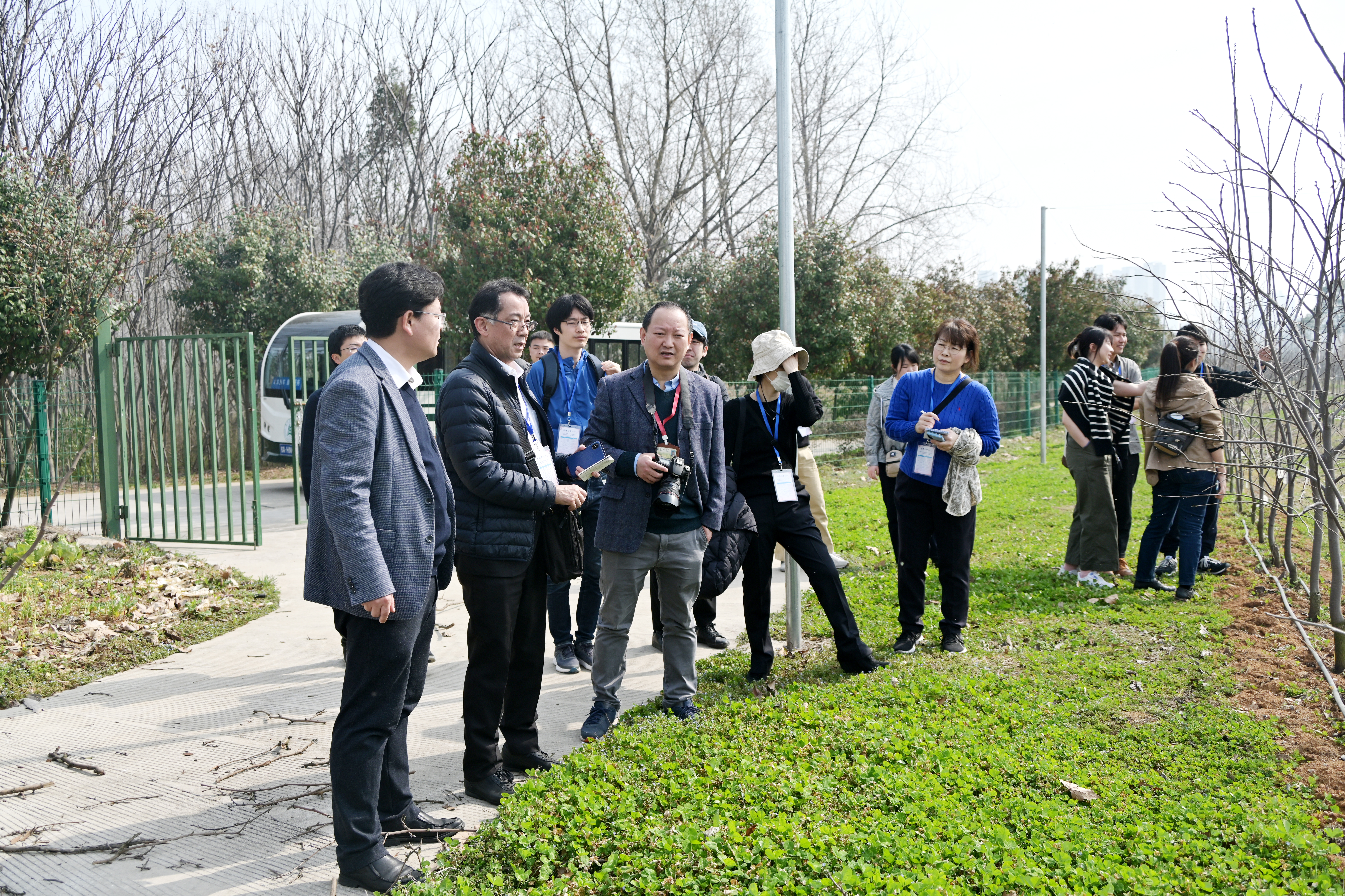 参观南湖柿子基地（通讯员 程玉华 摄）