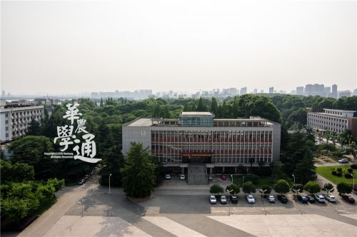 3.绿林中,老图书馆更添风韵。