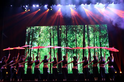 民族特色舞蹈表演