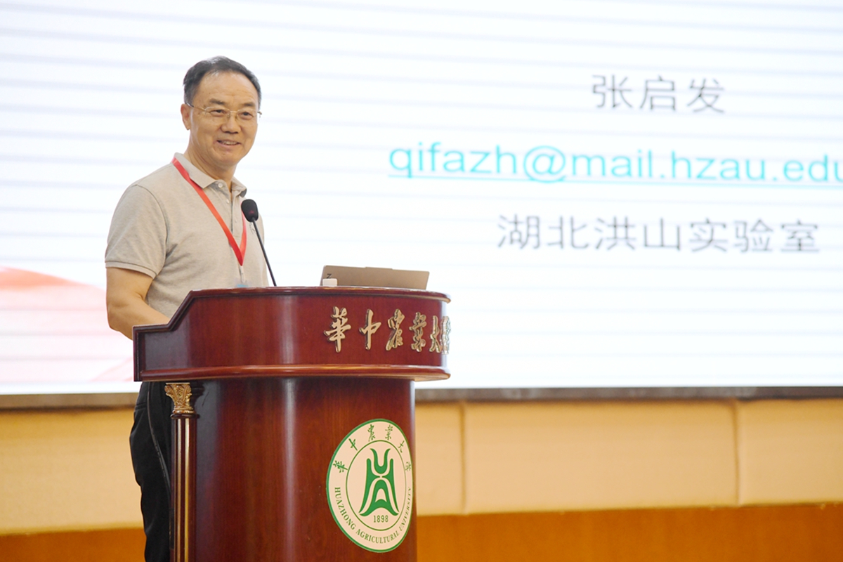 6 中国科学院院士、湖北洪山实验室主任张启发教授作主题报告(通讯员 徐行 摄)