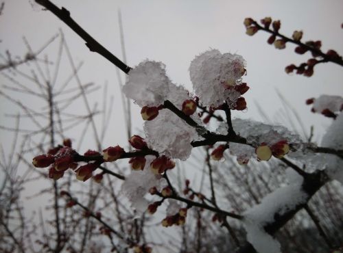 新建文件夹QQ图片20160201145823