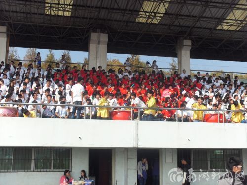 动科动医学院观众台