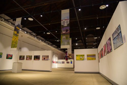 艺术馆摄影展第二篇章展览区，展现五彩花世界