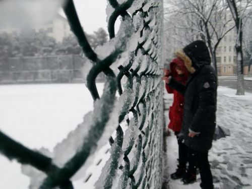 快看，冰花好漂亮