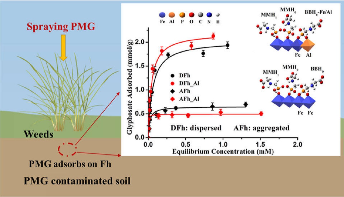图2 草甘膦在水铁矿表面的吸附行为和机制示意图