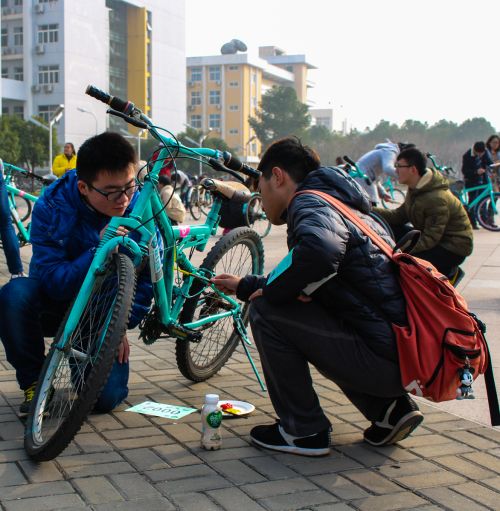 双人合作,齐心协力