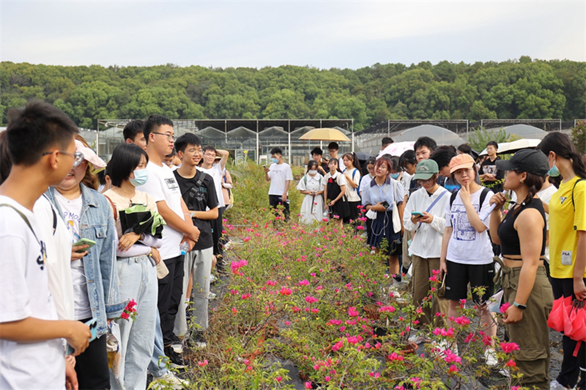 花卉基地赏梅。侯国涛摄