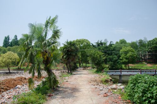 建造中的景观公园 吕岩