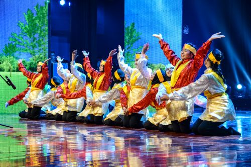 来自印尼的舞蹈