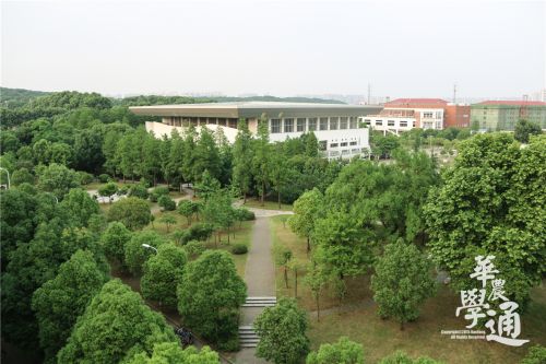 10.绿丛中的体育馆,犹如小小的模型。