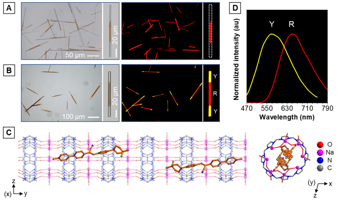 图2：N-R-N和Y-R-Y荧光三嵌段以及Y段的单晶结构