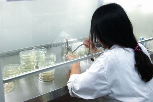 9.二综实验室里同学们正在进行实验。