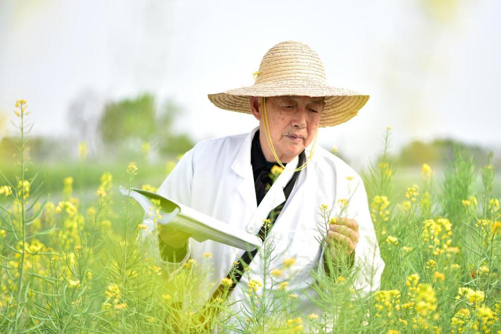 傅廷栋在田间观察油菜花。（刘涛 摄）