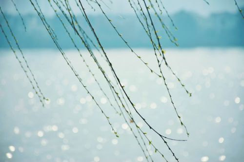 db4310e16e2afd3e2eb4cae047251188-sz_410283.jpg@1l_640w