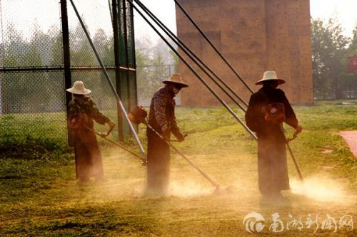 割草机的声音以及新鲜的青草气息也许是绝大多数人对夏天的朦胧记忆。就像汽油味、旧报纸味、火柴味、墨水味、铅笔屑味、鱼腥味等各种稀奇古怪的味道都有人喜欢一样,刚刚修剪过的草坪味道似乎可以让人的心情好上一整天。学通社记者 王晓丽