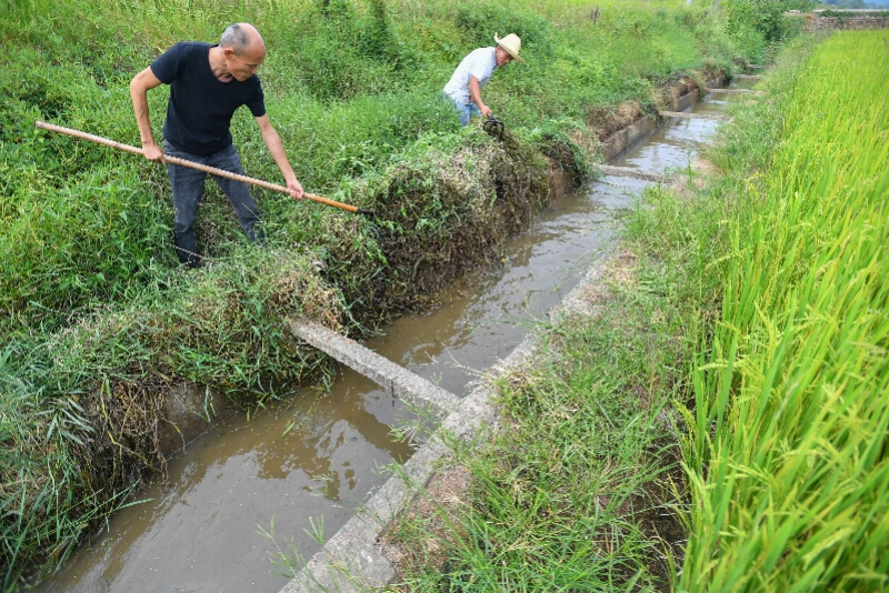 9月15日，在湘潭市雨湖区姜畲镇联映村，村民在疏浚灌渠。受持续高温少雨天气影响，湖南省湘潭市雨湖区部分地区出现旱情。当地通过外河抽水、多级提灌调水、洒水车送水、疏浚灌渠等措施全力保障农业生产灌溉，减少旱情对农业生产的影响。 新华社发