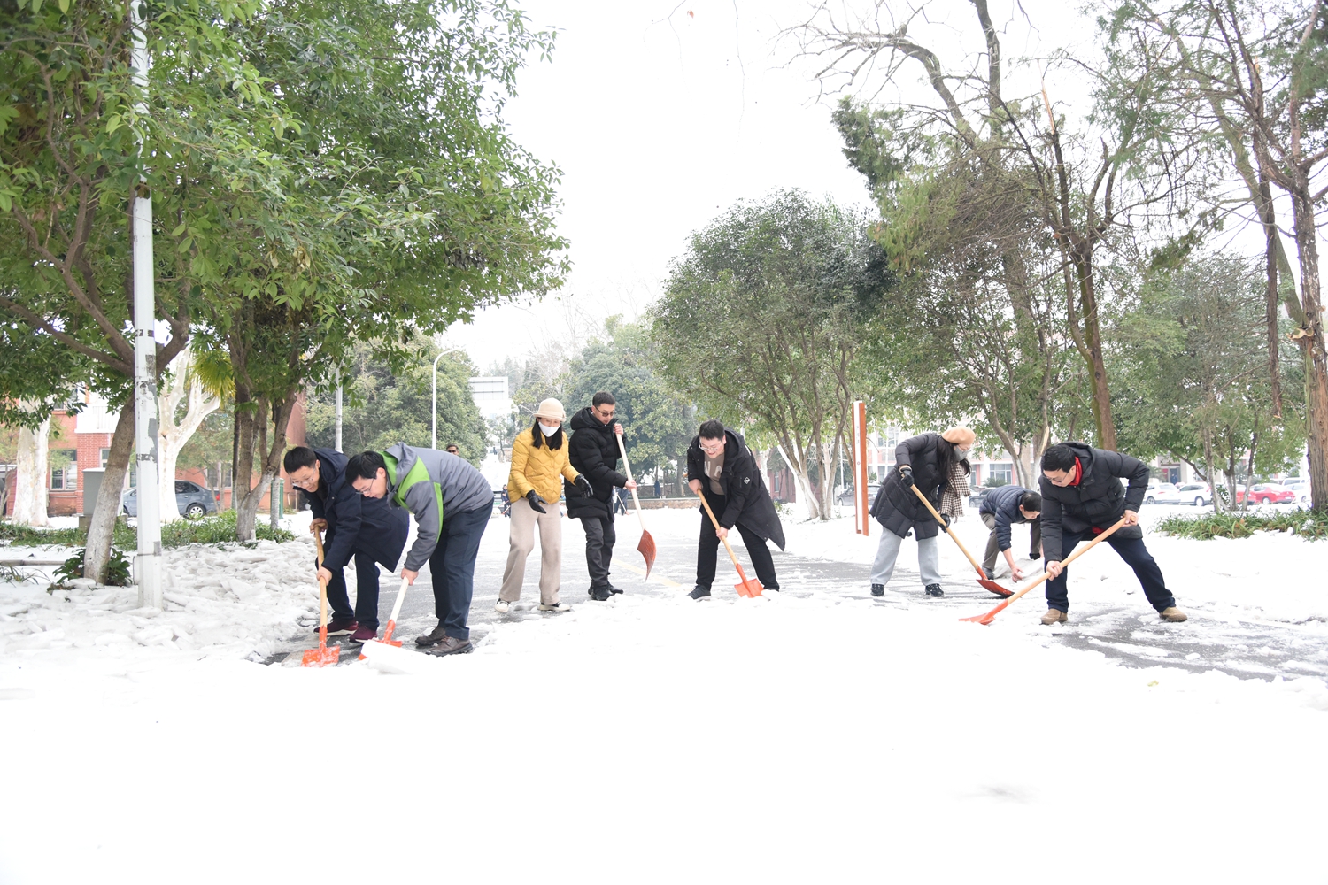 马克思主义学院老师们正在除雪(蒋朝常 摄)