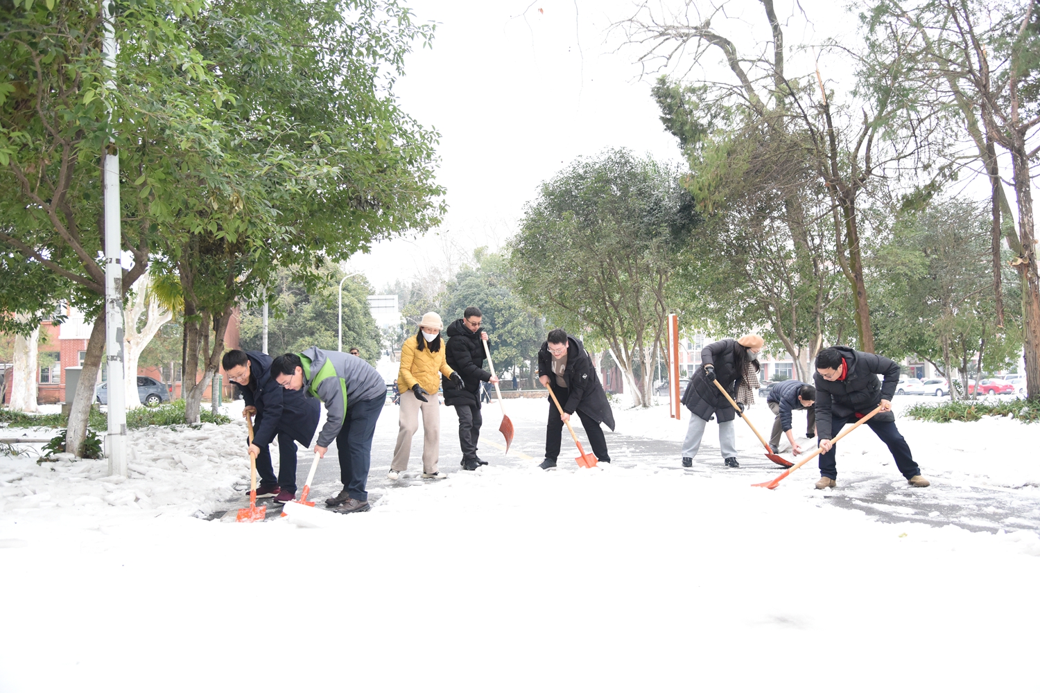 马克思主义学院老师们正在除雪（蒋朝常 摄）