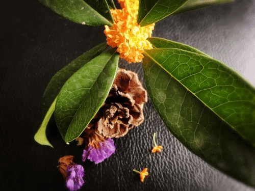 3E91ABF7938F72F27953E1F70E673500(1)