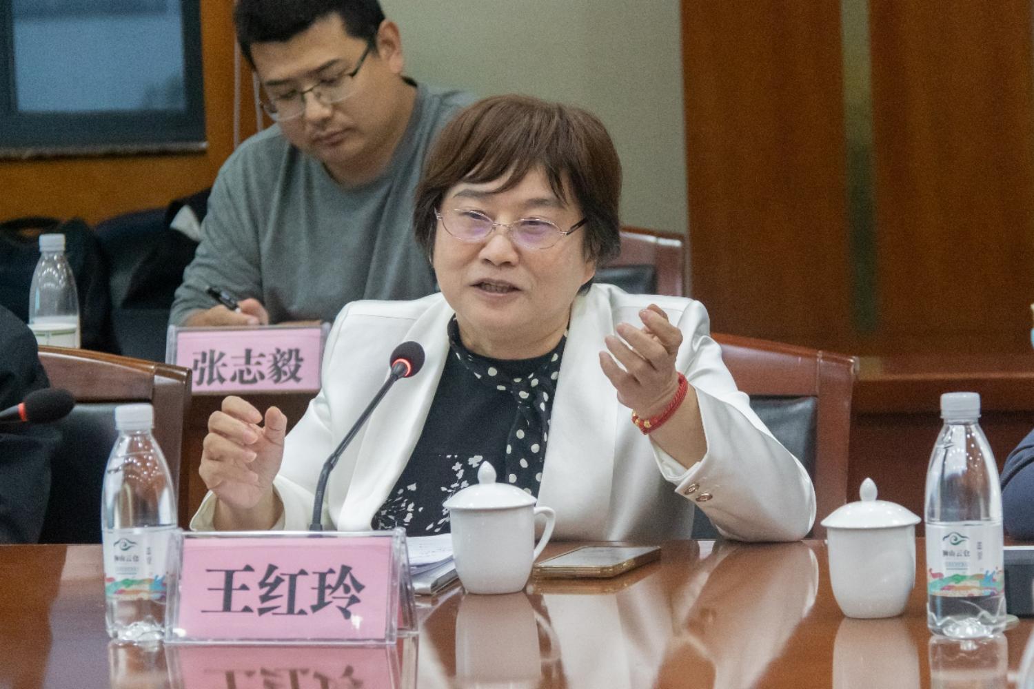 王红玲副主席讲话