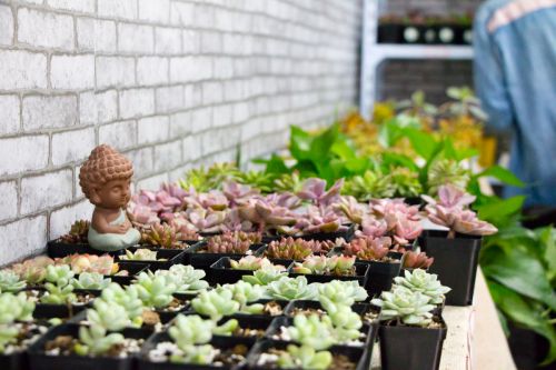 体验馆一角1【周子恒】