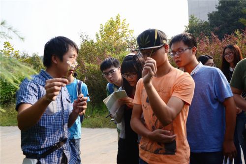引导下学生辨认植物