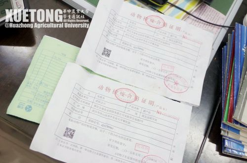 26.动物产品合格证明
