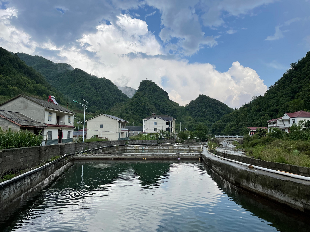 深山渔村长坊村（通讯员 晏华华 摄）