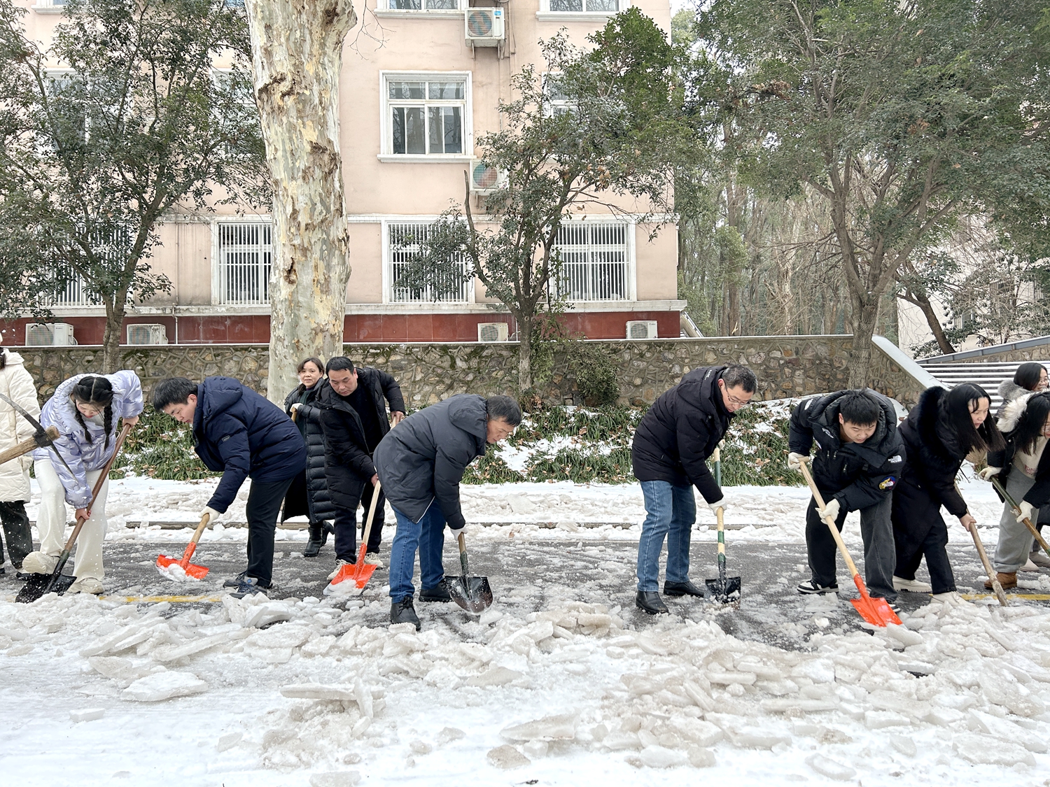 资源与环境学院师生除雪(匡敏 摄)