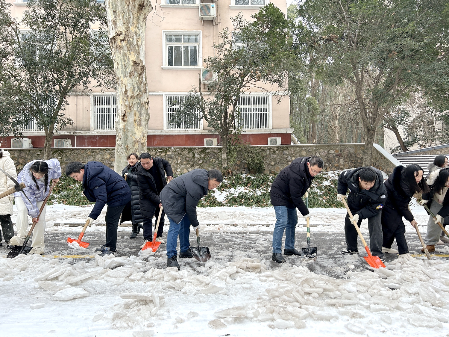 资源与环境学院师生除雪（匡敏 摄）