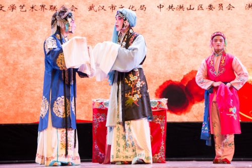 武汉理工大学选手表演《锦麟囊》 摄影 刘晓迪