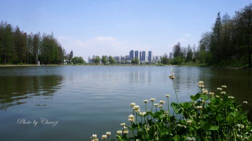 水天一色印寒光,