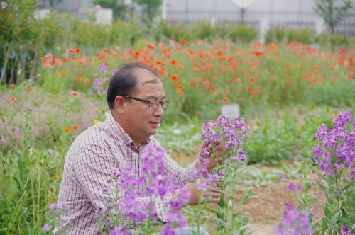 王文恩在基地观察植物的生长状态